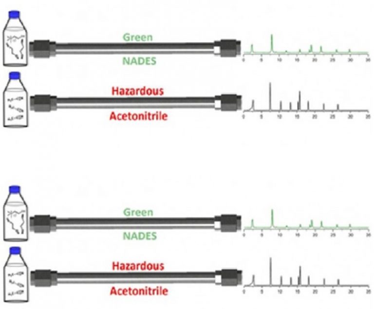 Natural deep eutectic solvents as the major mobile phase components in